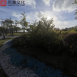 老汉的巨鞭躁进刘涛小泬
